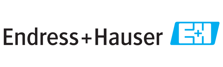 Logo Endress-Hauser